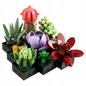    BLOCK Ikon blokkok 10309 Pozsgás növények Bonsai blokkok csokor
