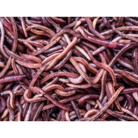  Perlátor Den Drobena 100 cm