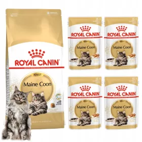    Royal Canin Maine Coon Adult macskaeledel száraz 0,4 kg + nedves 4x85g