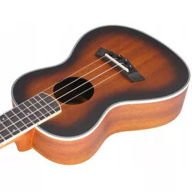 QBT koncert ukulele