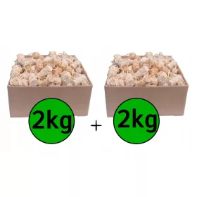    Tűzgyújtó Ökológiai tűzgyújtó grillkandallóhoz FAGYAPJÚ 2 kg Dremir