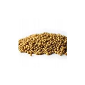  Osmocote IGLAK műtrágya 5-6 hónap. 5 kg.