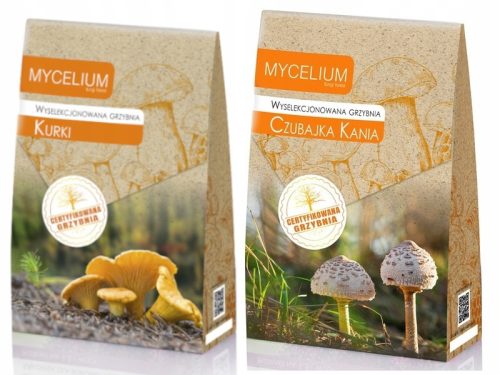 Rókagomba micélium 120 ml minősített micélium