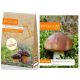  Mycelium of Mycelium bay bolets 120 ml