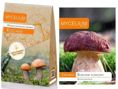  Mycelium Leccinum válogatott micélium