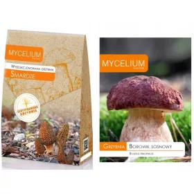  Micélium morzsa 120 ml