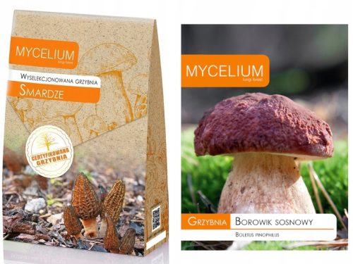  Micélium morzsa 120 ml