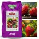  Eper műtrágya 24kg Eper palánta műtrágya ORO FRUITS 100 nap