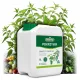  CSALÁN Műtrágya Paradicsom uborkastimulátor NATURAL Biovita 5L