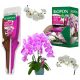  A BOPON DUO ORCHIDEÁKHOZ TÁPLÁL ÉS REGENERÁL BIOPON APPLIKÁTOR ELIXÍR 36x