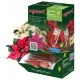  AGRECOL Mikulásvirág Erős POINSETIA KONDICIONÁLÓ APPLIKÁTOR 24 x 30ml