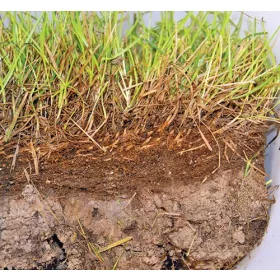  BactoGrass - filcbontáshoz 1 l