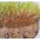  BactoGrass - filcbontáshoz 1 l