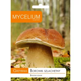  Micélium vargánya micélium 10 g