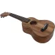  MSA koncert ukulele