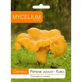  Micélium micélium Rókagomba 10 g