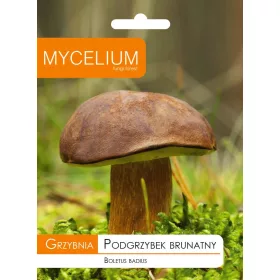  Micélium micélium Barna vargánya 0,01kg