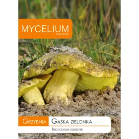  Micélium micélium zöldtakarmány 0,01 kg