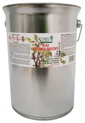  Mikorrhiza a CONIFERS micéliumhoz