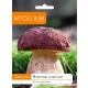  Micélium fenyővargánya micélium 10 g