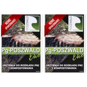   Micélium és mikorrhiza - 2x Pg Dicsérje az Eco micéliumot a fatörzsek bomlásáért