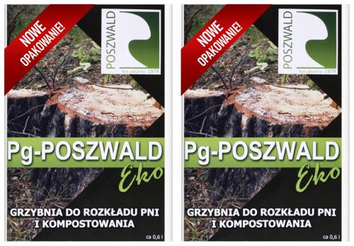 Micélium és mikorrhiza - 2x Pg Dicsérje az Eco micéliumot a fatörzsek bomlásáért