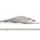 300led SMD5050 5 méter 72W prémium | Semleges