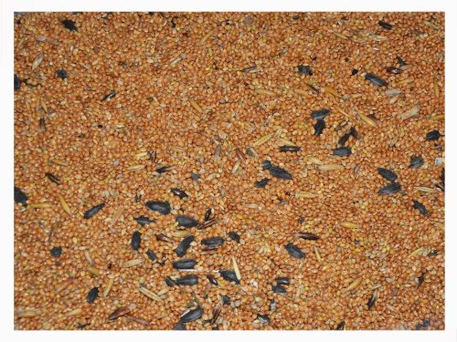 Takarmány egzotikus madarak - Étel a hullámosított papagájhoz 20 kg (4x5 kg) SM