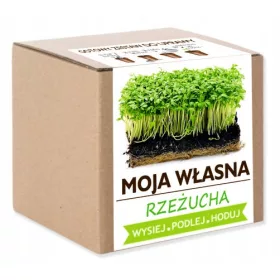  Zsázsamag 1000 g
