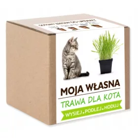  Egy készlet aljtalanító MACSKAFŰ termesztéséhez