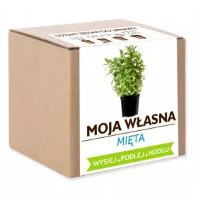  MENTA termesztő készlet
