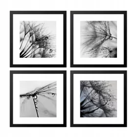   Falfestészet - Bekeretezett kép SOROZAT 4 PLAKÁT Modern stílus