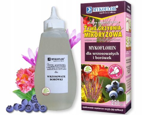  Mycorrhiza BLUEBERRY RHODODENDRON HEATHER micélium