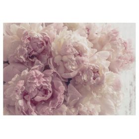 Falikép PEONIES FLOWERS NAPPALI HÁLÓSZOBA 520x318