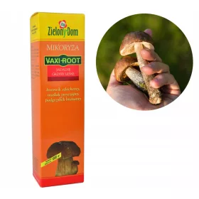 Mycorrhiza Kozielski Vaxi Root ehető erdei gomba