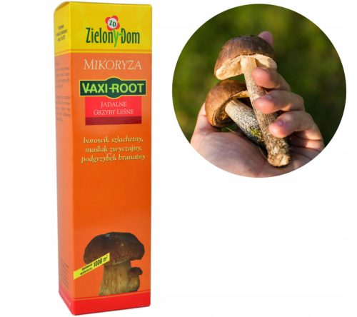  Mycorrhiza Kozielski Vaxi Root ehető erdei gomba