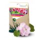  Mycorrhiza Symbivit Flowers micélium 750g