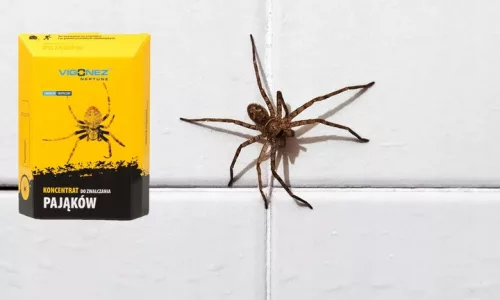Extra erős pókirtó spray – 30ml | Akár 6 hónapig tartó hosszú távú hatás