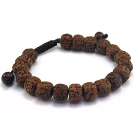  Karkötő kis buddhista RUDRAKSHA magok [B745]