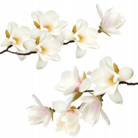  Falragaszok Tervezett magnóliák 100 x 50 cm