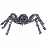 Pókhálók és pókok