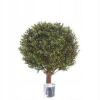 Művirágok, gyümölcsök