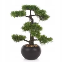 Bonsai
