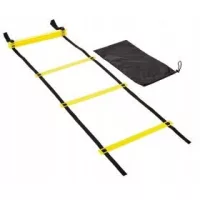 Koordinációs létrák