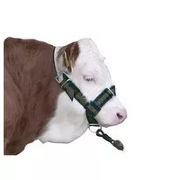 Mezőgazdasági kellékek és készítmények